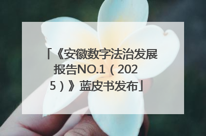 《安徽数字法治发展报告NO.1（2025）》蓝皮书发布