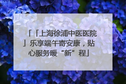 「上海徐浦中医医院」乐享端午寄安康，贴心服务暖“新”程
