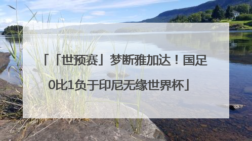 「世预赛」梦断雅加达！国足0比1负于印尼无缘世界杯