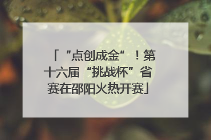 “点创成金”！第十六届“挑战杯”省赛在邵阳火热开赛