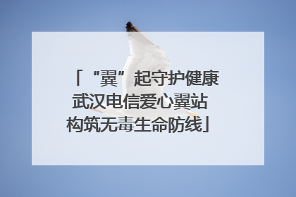 “翼”起守护健康 武汉电信爱心翼站构筑无毒生命防线