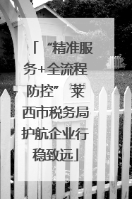 “精准服务+全流程防控” 莱西市税务局护航企业行稳致远