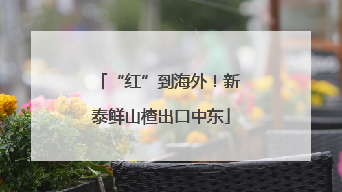 “红”到海外！新泰鲜山楂出口中东