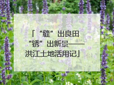 “缝”出良田 “锈”出新景——洪江土地活用记