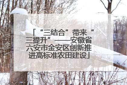 “三结合”带来“三提升”——安徽省六安市金安区创新推进高标准农田建设