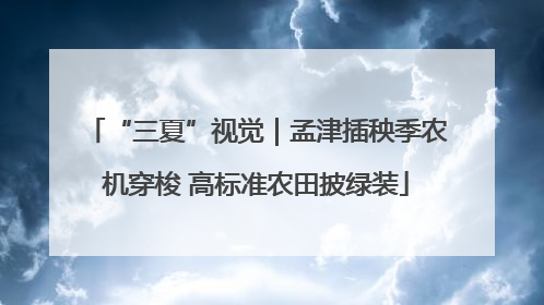 “三夏”视觉｜孟津插秧季农机穿梭 高标准农田披绿装