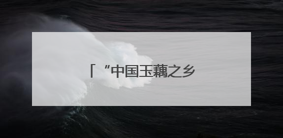 “中国玉藕之乡”柳州百朋镇玉藕抢“鲜”上市