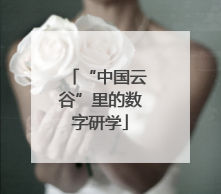 “中国云谷”里的数字研学