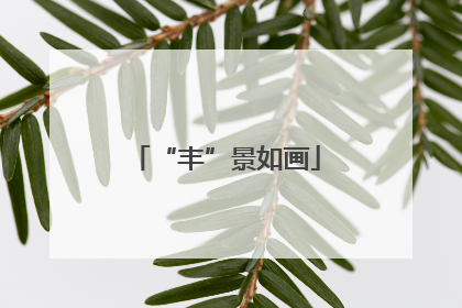 “丰”景如画
