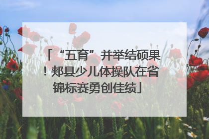 “五育”并举结硕果！郏县少儿体操队在省锦标赛勇创佳绩