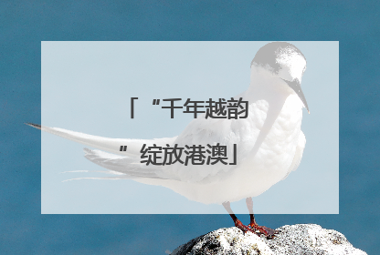 “千年越韵”绽放港澳