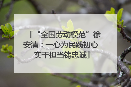 “全国劳动模范”徐安清：一心为民践初心 实干担当铸忠诚