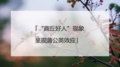 “商丘好人”现象呈现蒲公英效应