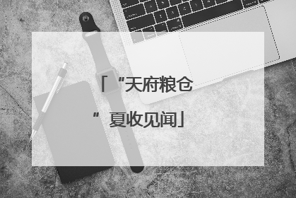 “天府粮仓”夏收见闻