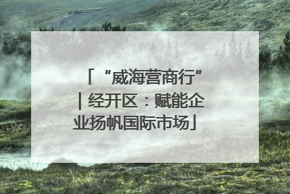 “威海营商行”｜经开区：赋能企业扬帆国际市场