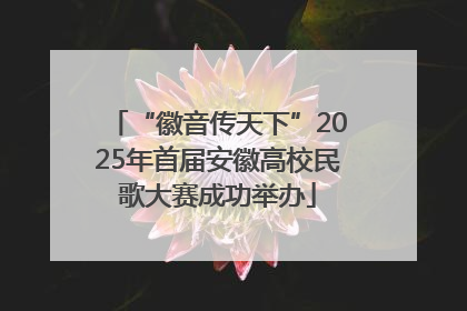 “徽音传天下”2025年首届安徽高校民歌大赛成功举办