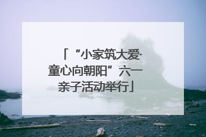 “小家筑大爱·童心向朝阳”六一亲子活动举行