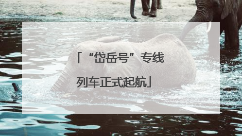 “岱岳号”专线列车正式起航