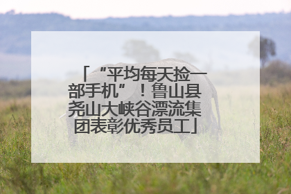 “平均每天捡一部手机”！鲁山县尧山大峡谷漂流集团表彰优秀员工