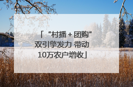 “村播＋团购”双引擎发力 带动10万农户增收