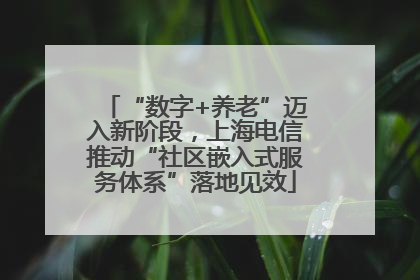“数字+养老”迈入新阶段，上海电信推动“社区嵌入式服务体系”落地见效