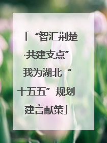 “智汇荆楚·共建支点” 我为湖北“十五五”规划建言献策