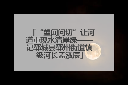 “望闻问切”让河道重现水清岸绿——记郓城县郓州街道镇级河长孟泓辰