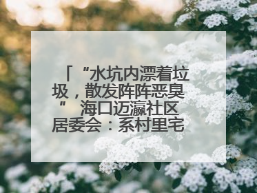 “水坑内漂着垃圾，散发阵阵恶臭” 海口迈瀛社区居委会：系村里宅基地，将派人打捞垃圾
