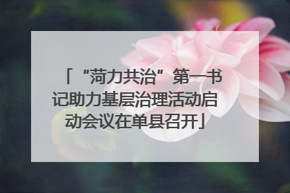 “菏力共治”第一书记助力基层治理活动启动会议在单县召开
