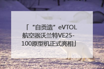 “自贡造”eVTOL航空器沃兰特VE25-100原型机正式亮相