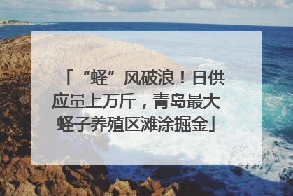 “蛏”风破浪！日供应量上万斤，青岛最大蛏子养殖区滩涂掘金