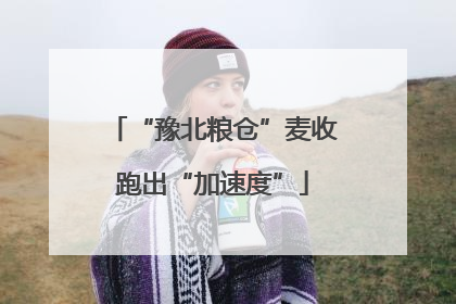 “豫北粮仓”麦收跑出“加速度”