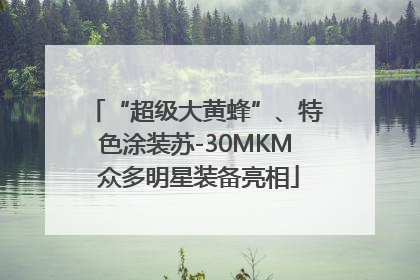 “超级大黄蜂”、特色涂装苏-30MKM 众多明星装备亮相