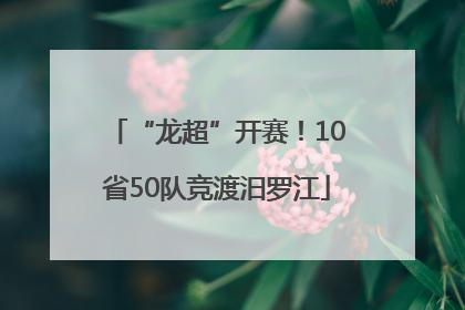 “龙超”开赛！10省50队竞渡汨罗江
