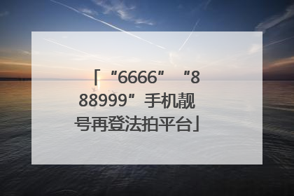 “6666”“888999”手机靓号再登法拍平台