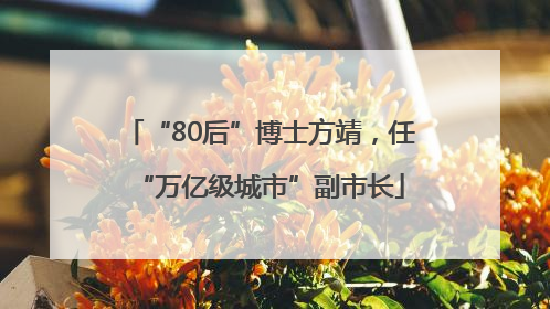 “80后”博士方靖，任“万亿级城市”副市长