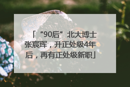 “90后”北大博士张宸珲，升正处级4年后，再有正处级新职