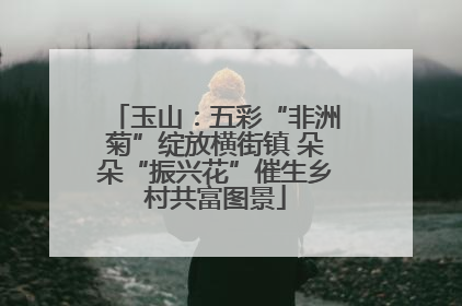 玉山：五彩“非洲菊”绽放横街镇 朵朵“振兴花”催生乡村共富图景