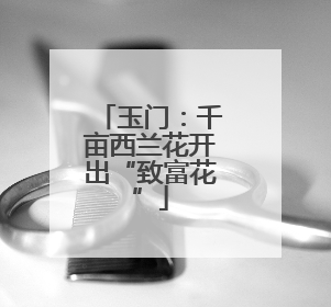 玉门：千亩西兰花开出“致富花”