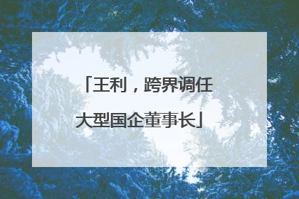 王利，跨界调任大型国企董事长