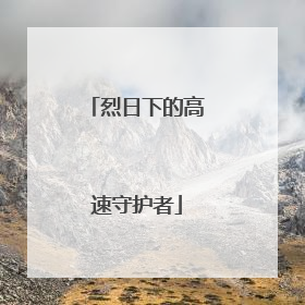 烈日下的高速守护者