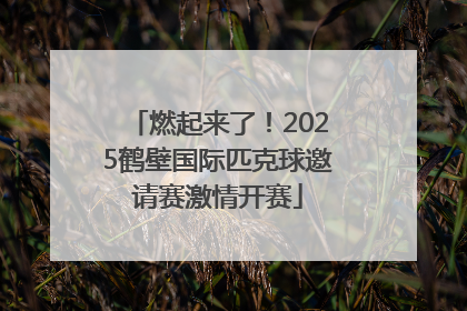 燃起来了！2025鹤壁国际匹克球邀请赛激情开赛