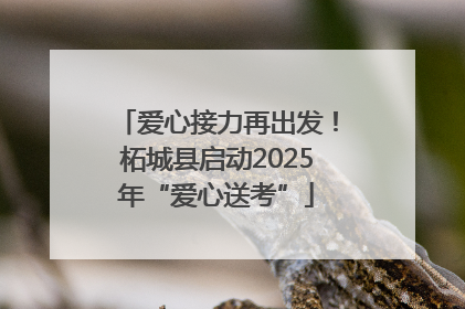 爱心接力再出发！柘城县启动2025年“爱心送考”