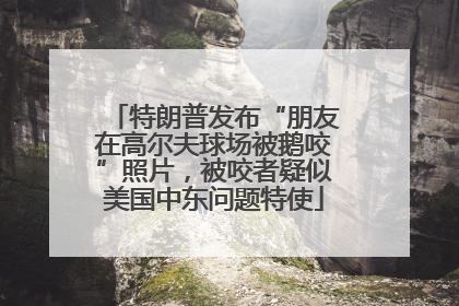 特朗普发布“朋友在高尔夫球场被鹅咬”照片，被咬者疑似美国中东问题特使