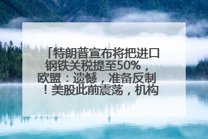 特朗普宣布将把进口钢铁关税提至50%，欧盟：遗憾，准备反制！美股此前震荡，机构：美元正进入熊市