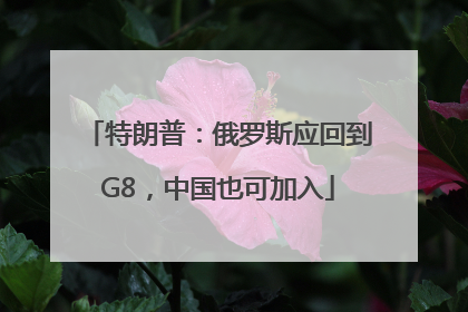 特朗普：俄罗斯应回到G8，中国也可加入