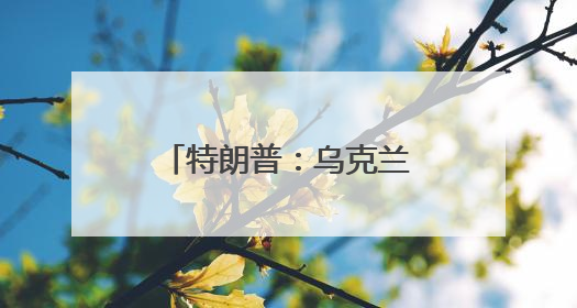 特朗普：乌克兰给了普京一个轰炸他们的理由