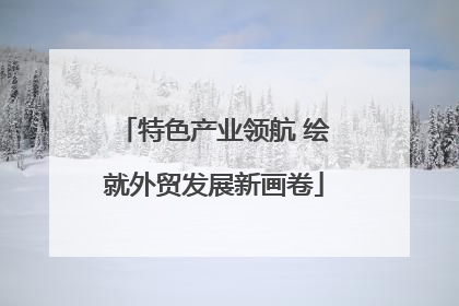 特色产业领航 绘就外贸发展新画卷