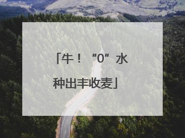 牛！“0”水种出丰收麦