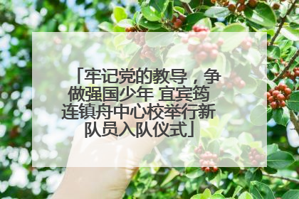 牢记党的教导，争做强国少年 宜宾筠连镇舟中心校举行新队员入队仪式